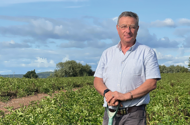 Man leaning on spade in potato field