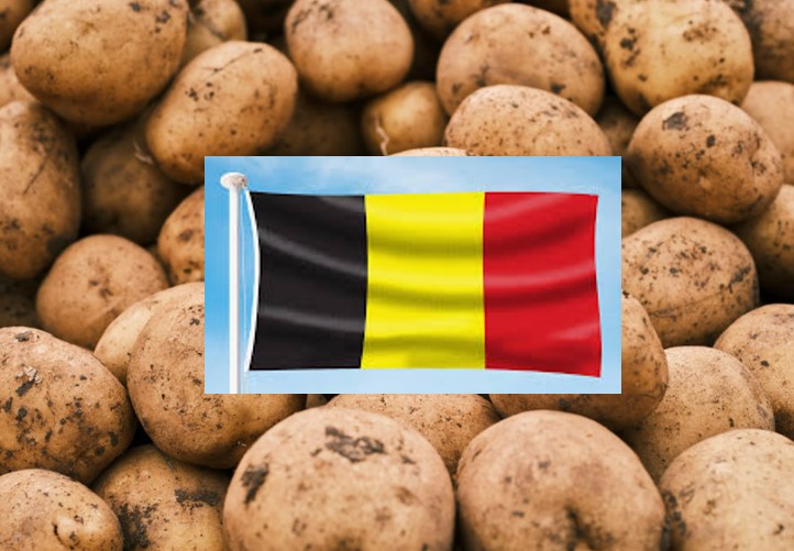 Belgium flag insert on muddy potatoes
