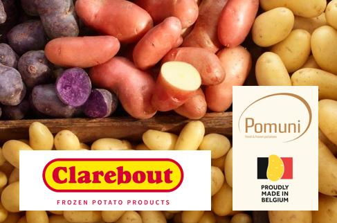 Assorted varieties of fresh potatoes displayed with Clarebout and Pomuni's logos in foreground