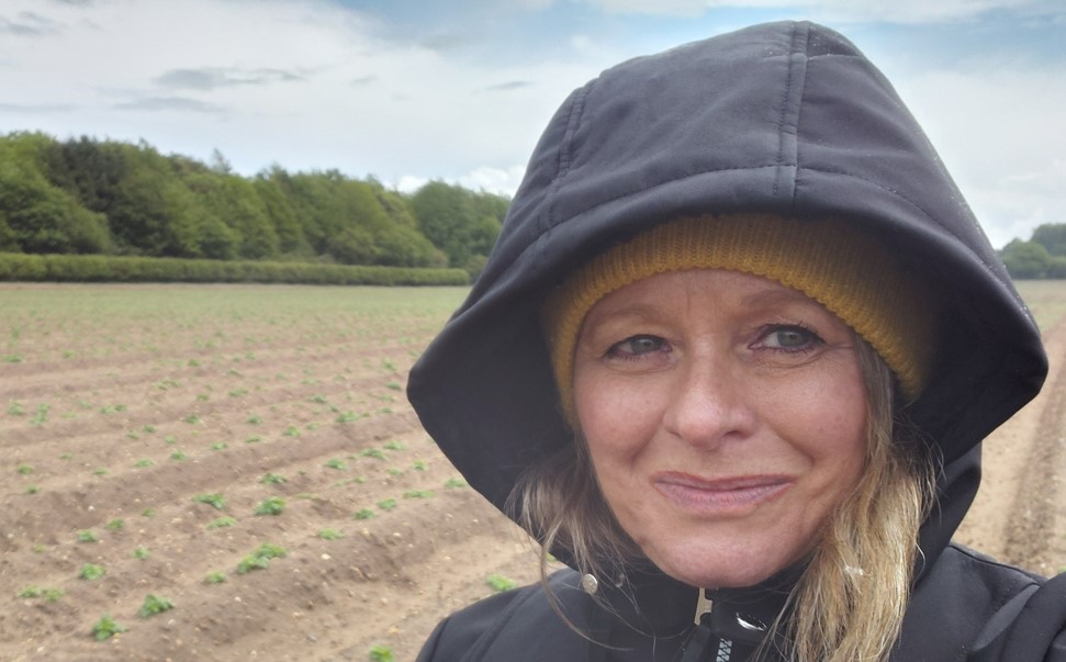 ‘Doctor’ diagnosis on potato crop walks