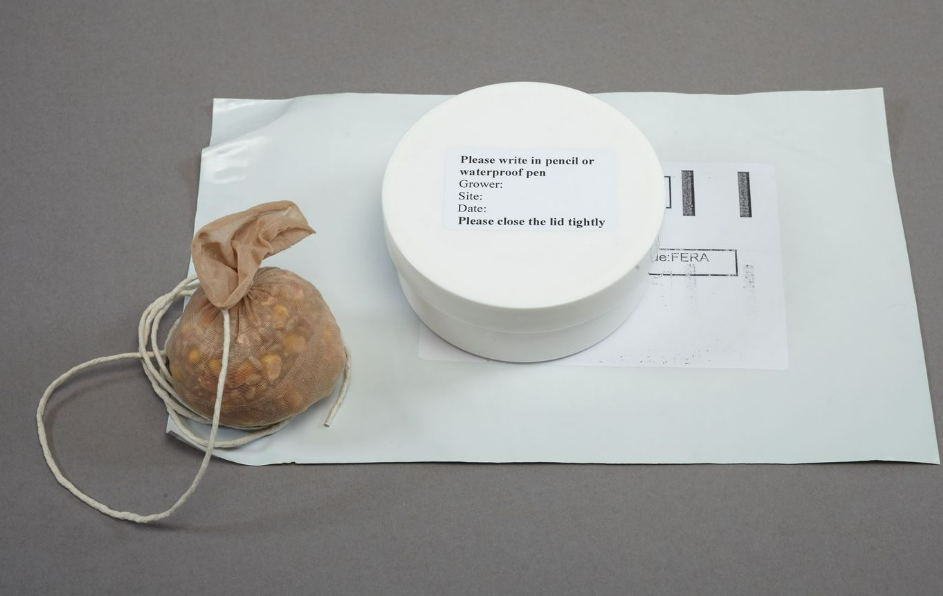 plastic tub , small sack and plastic mailing bag