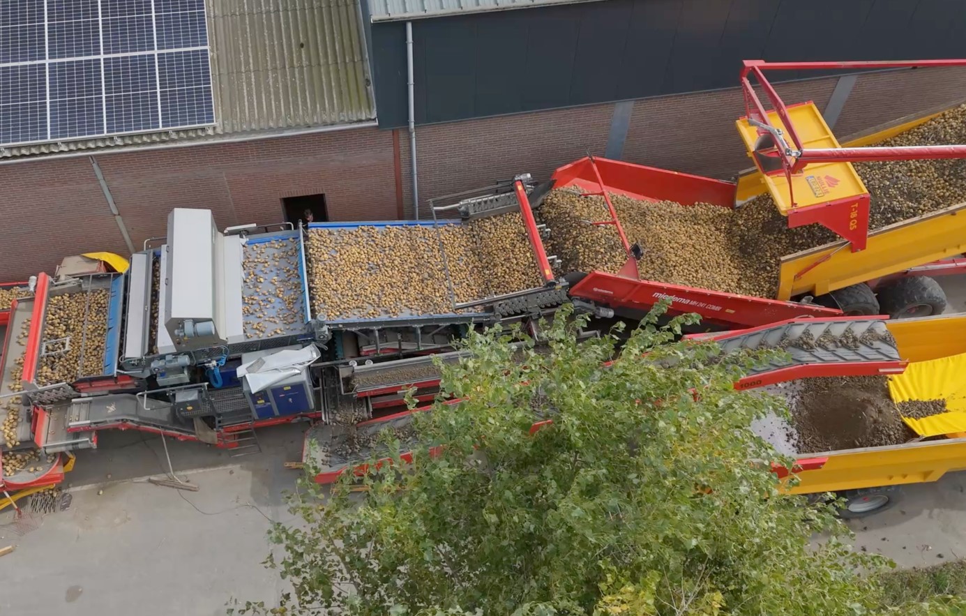 machine with potatoes going down shoots and sorting table
