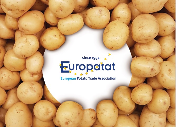 Words on top of spread out potatoes making cover of a new potato guide