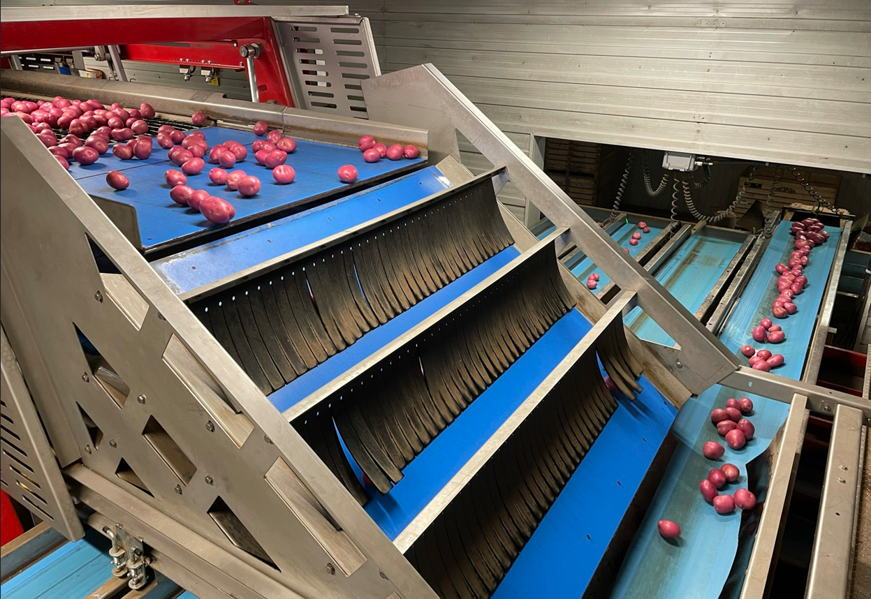 G Visser & Sons_potato growing_packing_production line