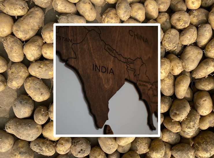 Wooden map of India inset on laid-out India potatoes