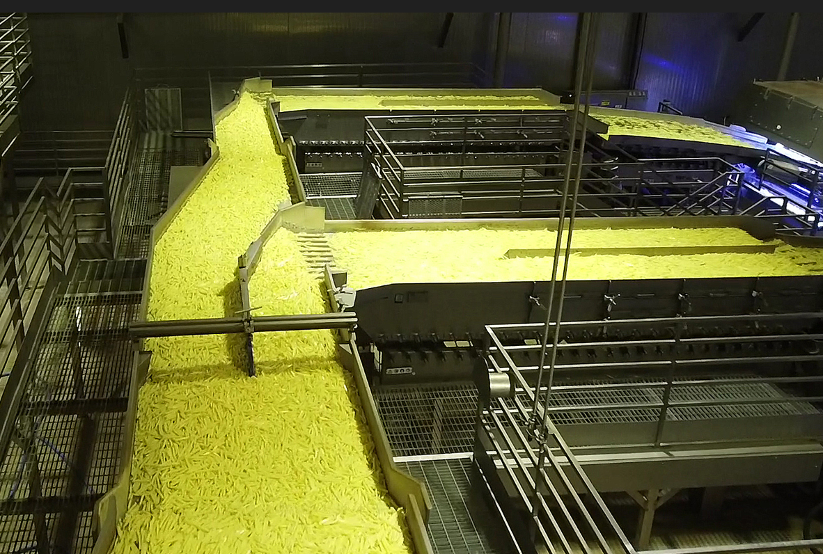 A high-capacity conveyor with chips on at a potato processing plant