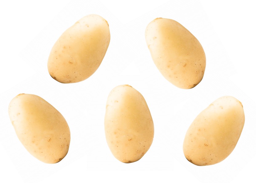 Five clean potatoes on white background