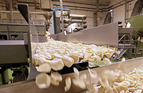 Production line with potato snacks on it at Italian manufacturer's factory