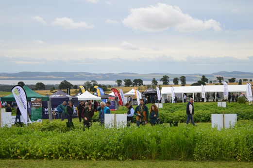Field with gazebos and people in