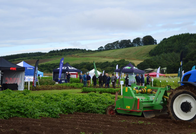 People and gazebos in potato field