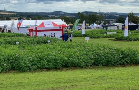 Stands and trial plots at Potatoes In Practice field event