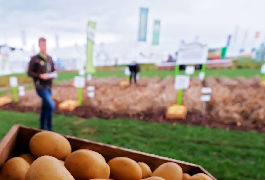 ‘Essential’ international potato gathering