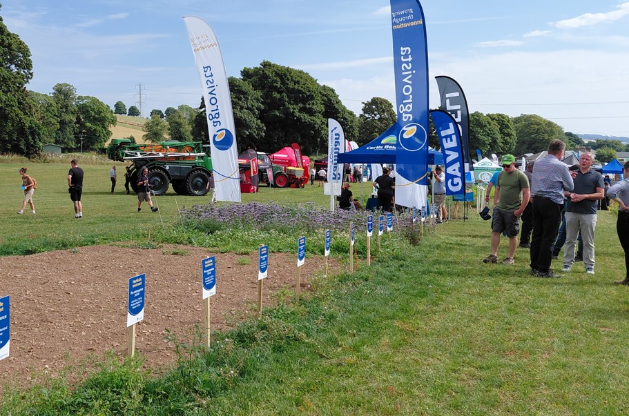 Pull-up signs, wooden signposts near planted areas, grass and people in field