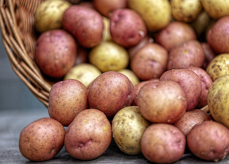 Russet and white potatoes in basket