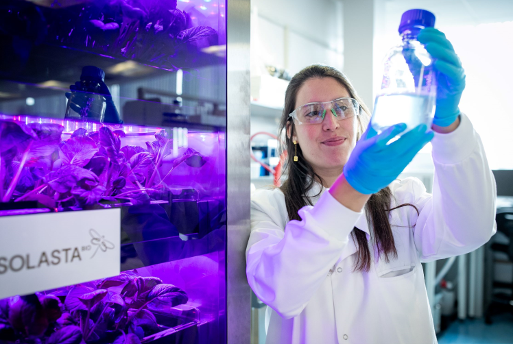 Laboratory worker holds up vessel during work on bioinsecticides