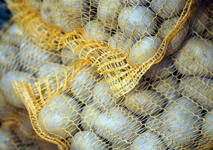 string bag full of potatoes