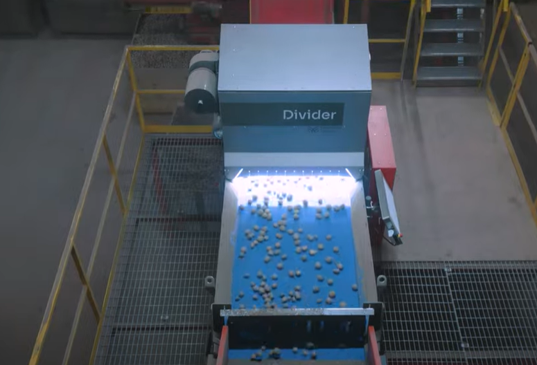 Potatoes on a machine conveyor belt