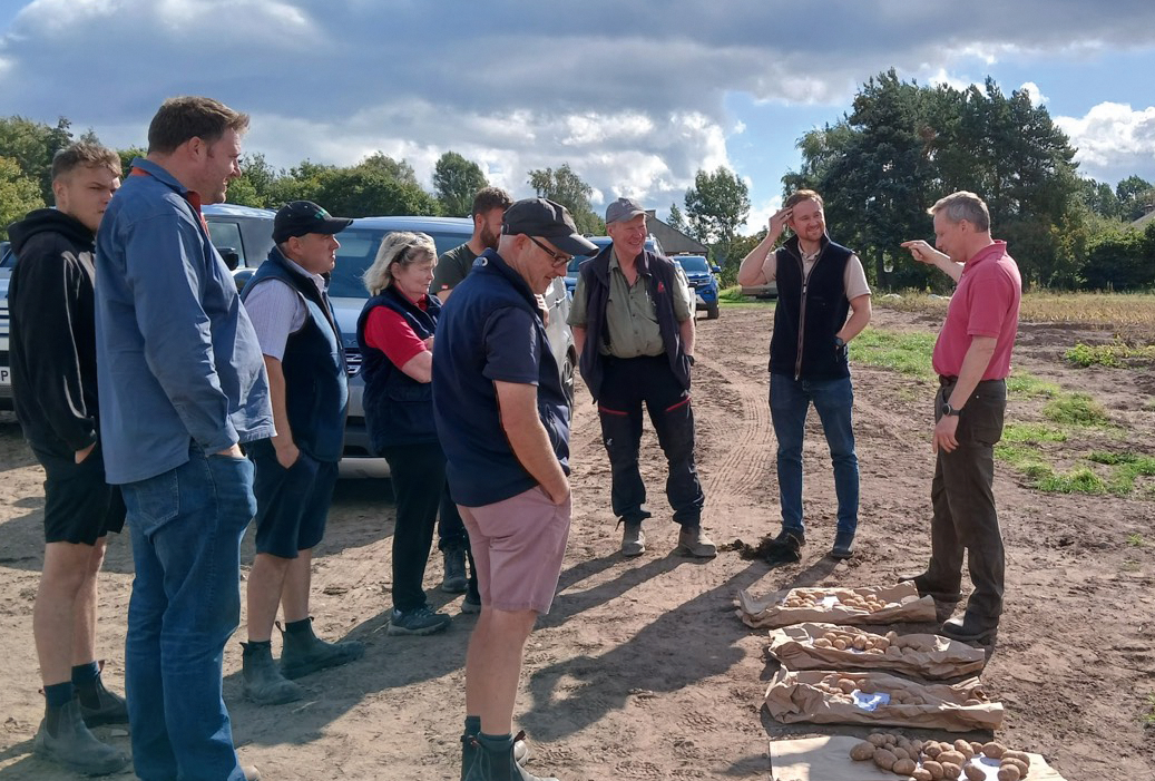 Trials participants gathered round looking at potatoes laid out on soil