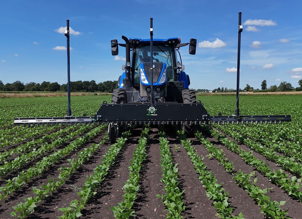 Blue tractor with implement on back in rows of potato plants in field