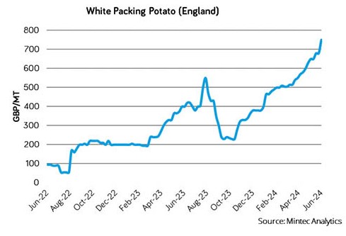 whites_price increase