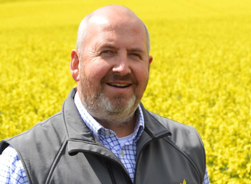 Man with beard in yellow field