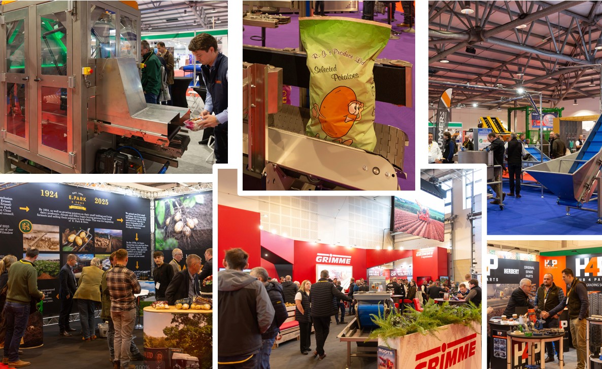 Collage of crowds of people in showroom at stands