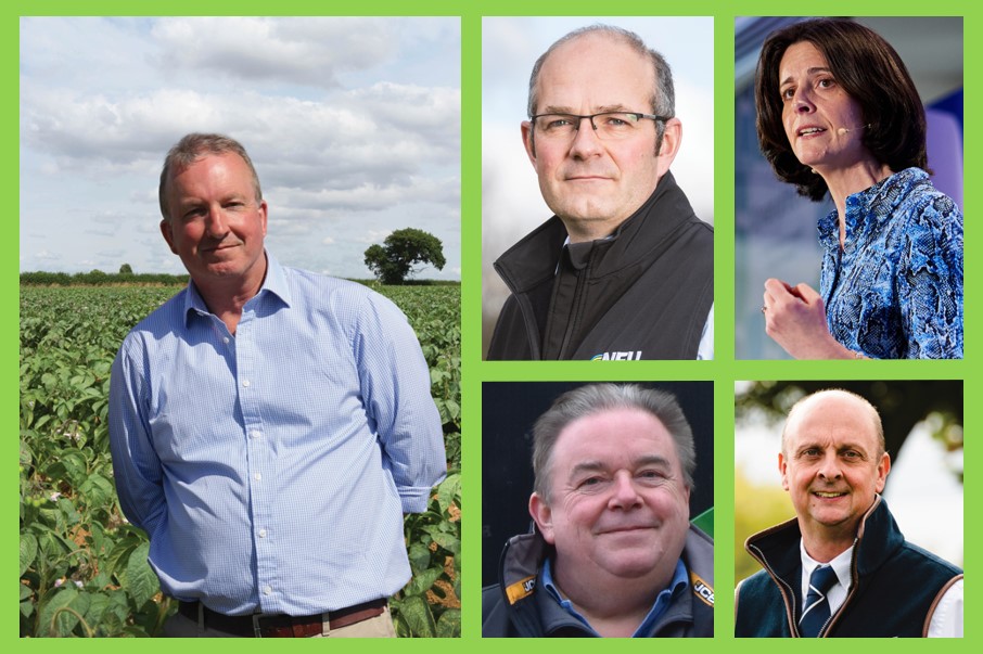Six people's head and shoulders photos with potato field in background of some