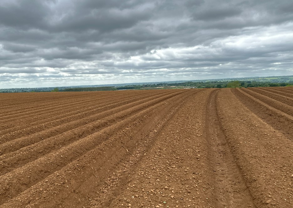 Cornish potato grower_biologicals_yield increase