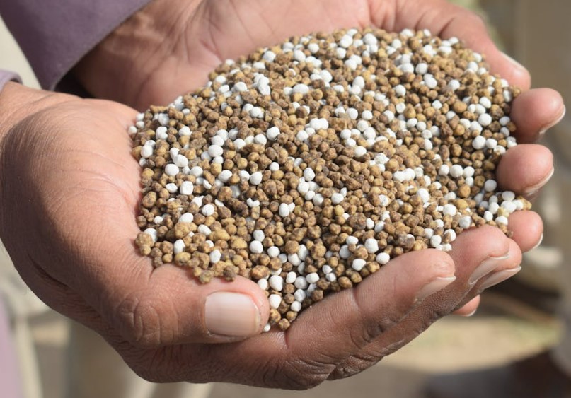 Hands holding granules in two different shades of brown