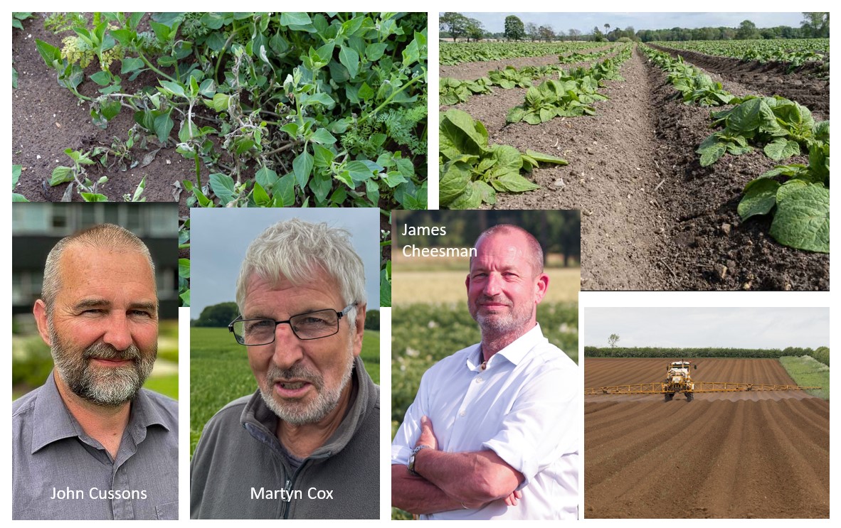 mugshots of three men in front of collage showing weeds, ploughing and rows in potato fields