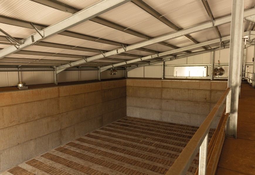 Inside of a potato store