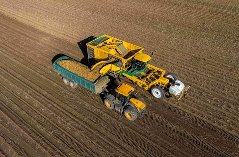 Yello potato harvester collecting crop in field