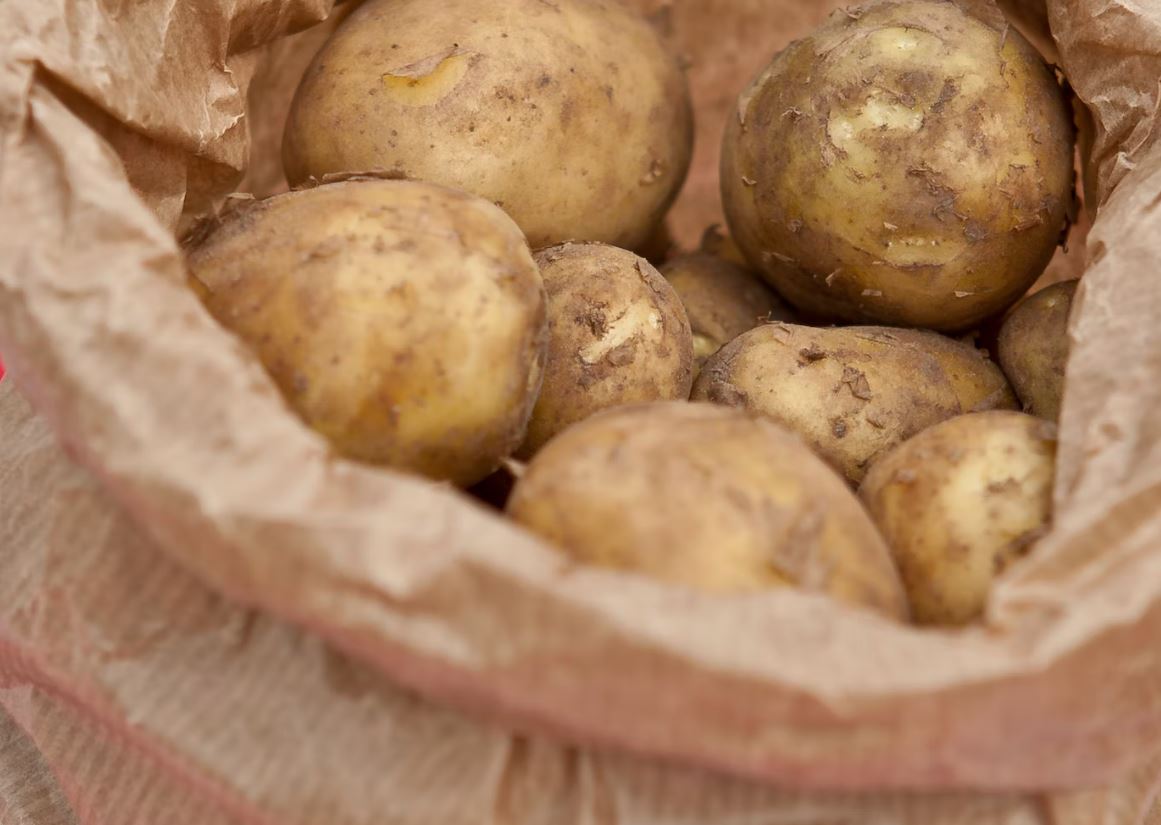 sack of organic potatoes promoting English sustainable growing