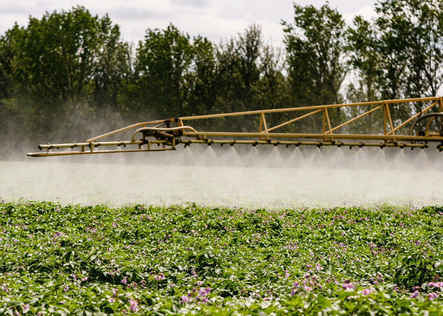 Blight spraying boom in potato field