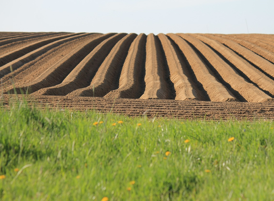 agricultural land, potato growing, land values