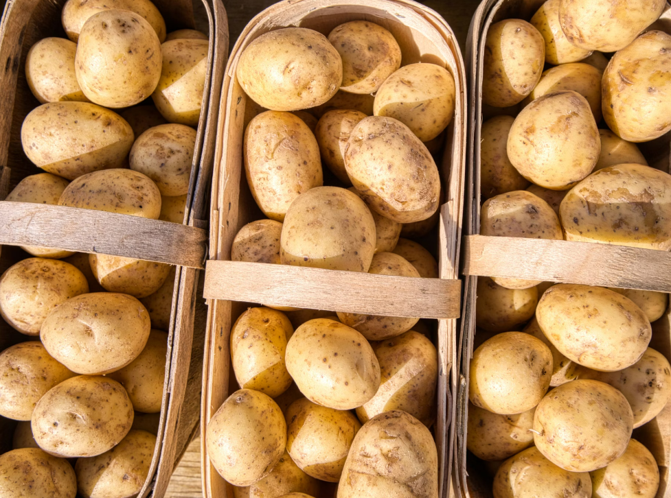 POTATOES STILL A FIRM FAVE FOR BRITS