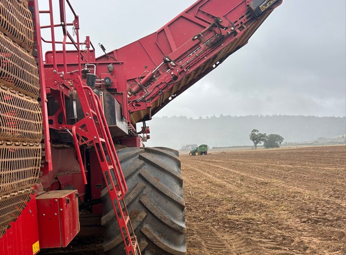 Side view of a harvester in a potato field being desiccated