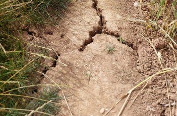 Dry cracked soil on edge of field