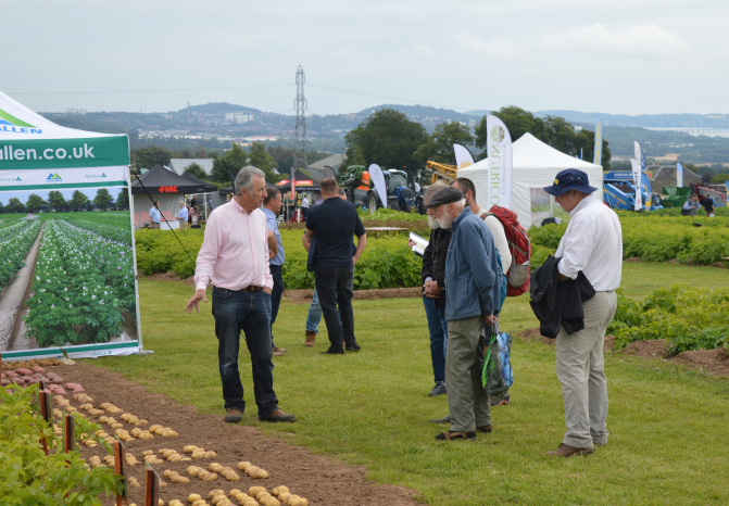 Potatoes field event visitors